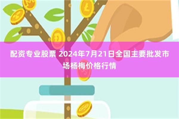 配资专业股票 2024年7月21日全国主要批发市场杨梅价格行情