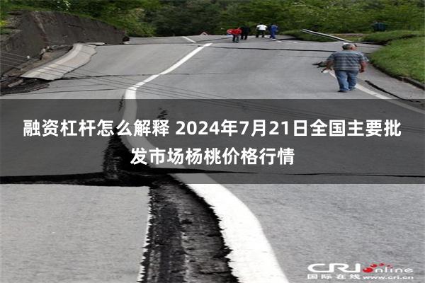 融资杠杆怎么解释 2024年7月21日全国主要批发市场杨桃价格行情