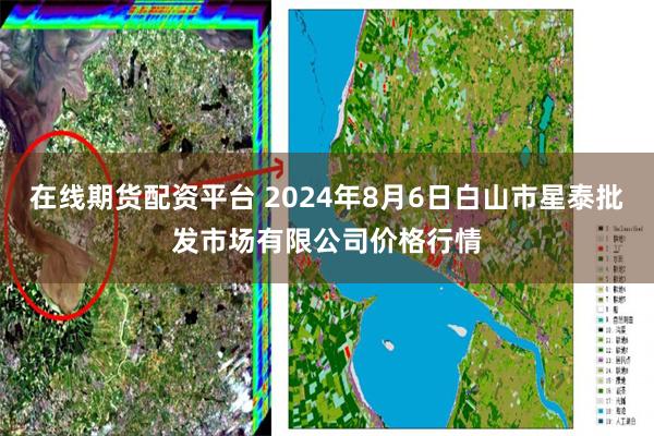 在线期货配资平台 2024年8月6日白山市星泰批发市场有限公司价格行情