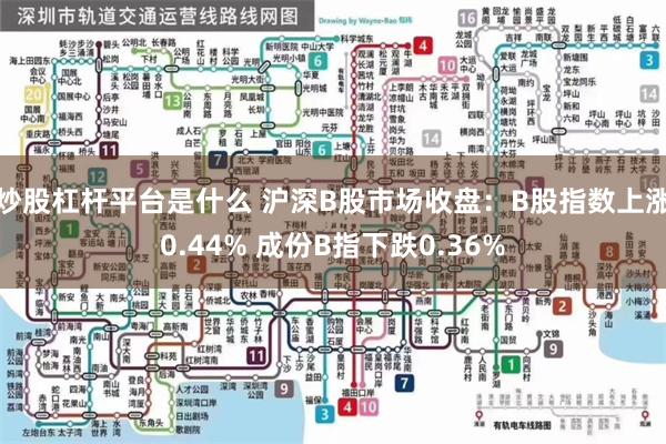 炒股杠杆平台是什么 沪深B股市场收盘：B股指数上涨0.44% 成份B指下跌0.36%