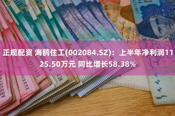 正规配资 海鸥住工(002084.SZ)：上半年净利润1125.50万元 同比增长58.38%