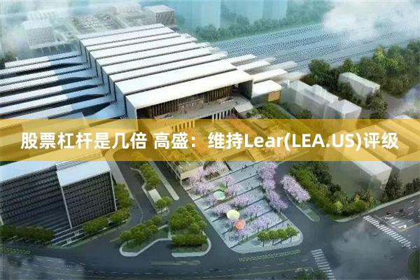 股票杠杆是几倍 高盛：维持Lear(LEA.US)评级