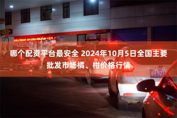 哪个配资平台最安全 2024年10月5日全国主要批发市场橘、柑价格行情