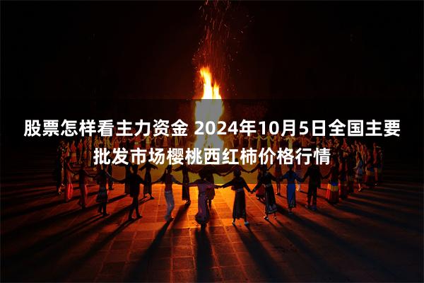 股票怎样看主力资金 2024年10月5日全国主要批发市场樱桃西红柿价格行情