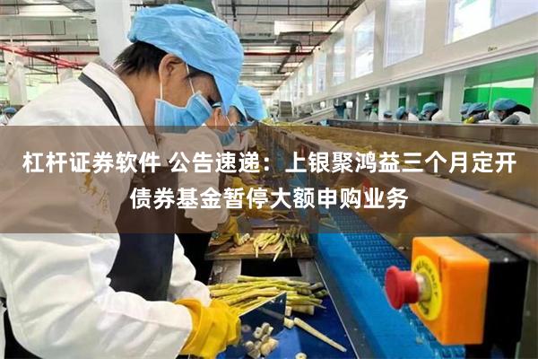 杠杆证券软件 公告速递：上银聚鸿益三个月定开债券基金暂停大额申购业务