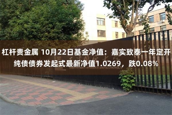 杠杆贵金属 10月22日基金净值：嘉实致泰一年定开纯债债券发起式最新净值1.0269，跌0.08%