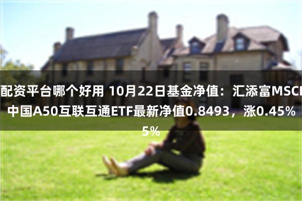 配资平台哪个好用 10月22日基金净值：汇添富MSCI中国A50互联互通ETF最新净值0.8493，涨0.45%