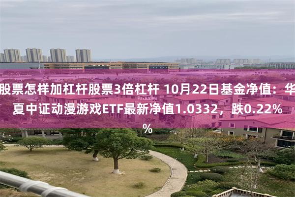 股票怎样加杠杆股票3倍杠杆 10月22日基金净值：华夏中证动漫游戏ETF最新净值1.0332，跌0.22%