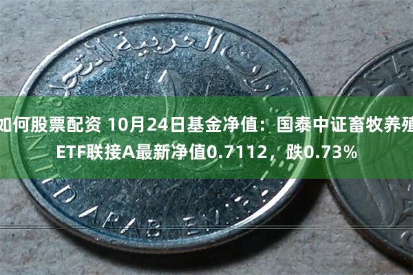 如何股票配资 10月24日基金净值：国泰中证畜牧养殖ETF联接A最新净值0.7112，跌0.73%