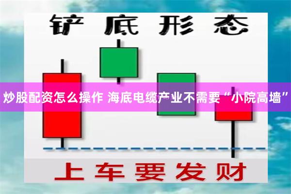 炒股配资怎么操作 海底电缆产业不需要“小院高墙”