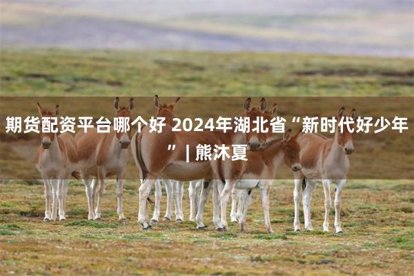 期货配资平台哪个好 2024年湖北省“新时代好少年” | 熊沐夏