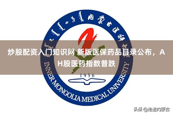 炒股配资入门知识网 新版医保药品目录公布，AH股医药指数普跌