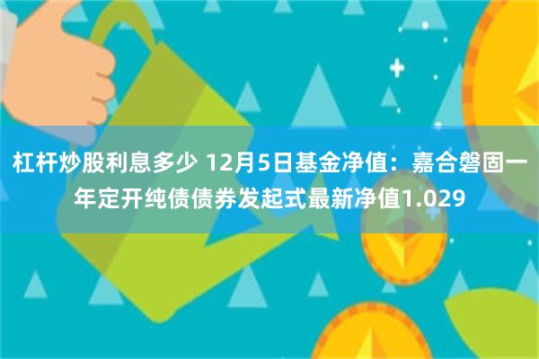 杠杆炒股利息多少 12月5日基金净值：嘉合磐固一年定开纯债债券发起式最新净值1.029