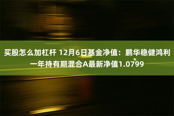 买股怎么加杠杆 12月6日基金净值：鹏华稳健鸿利一年持有期混合A最新净值1.0799