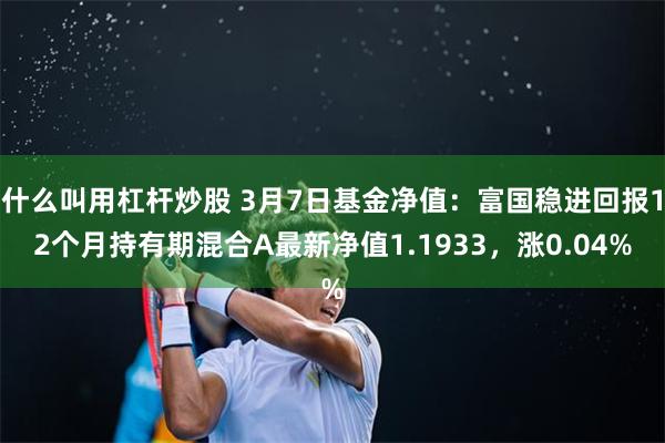 什么叫用杠杆炒股 3月7日基金净值：富国稳进回报12个月持有期混合A最新净值1.1933，涨0.04%